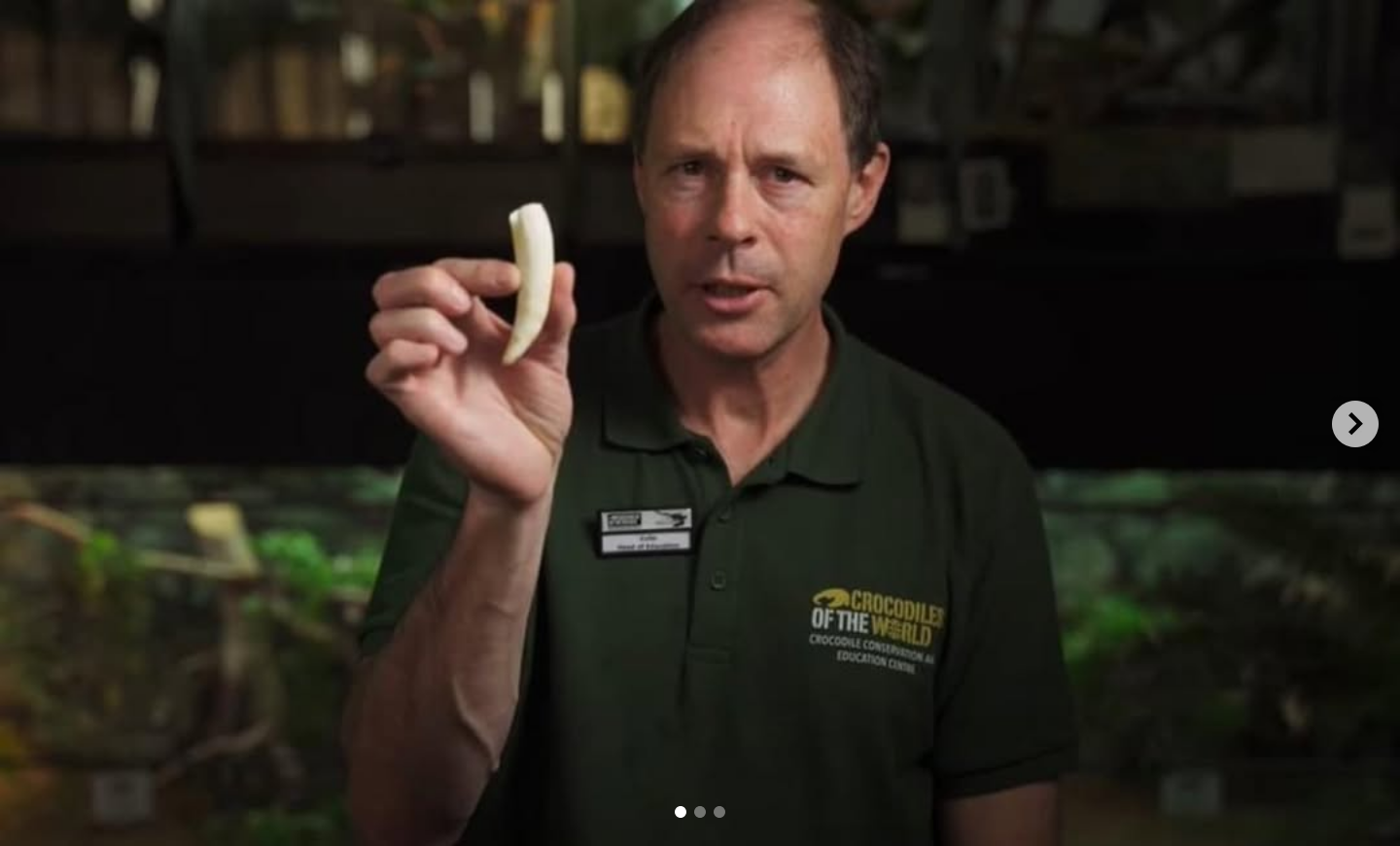 Colin Stevenson - Expert talk